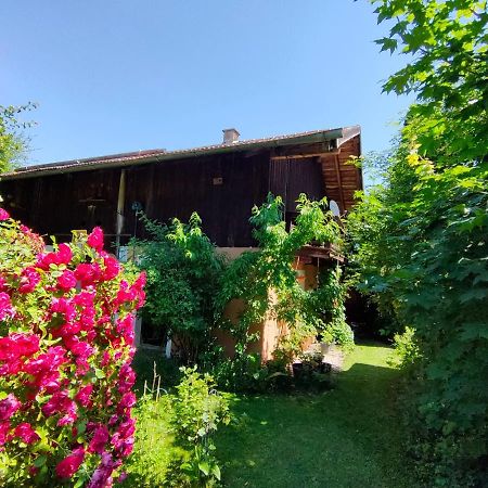 Gemuetliche Ferienwohnung Mit Kamin Und Garten Garmisch-Partenkirchen Exteriér fotografie